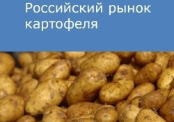 Российский рынок картофеля