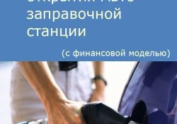 Компания Alto Consulting Group разработала бизнес-план открытия Авто–заправочной станции для Забайкальского края