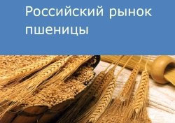 Российский рынок пшеницы