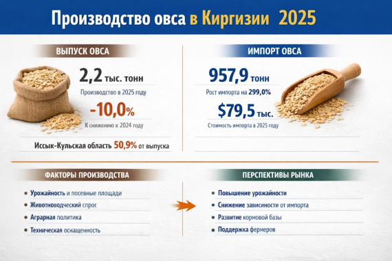 Производство овса в Киргизии 2025: объемы выпуска, импорт и региональная структура