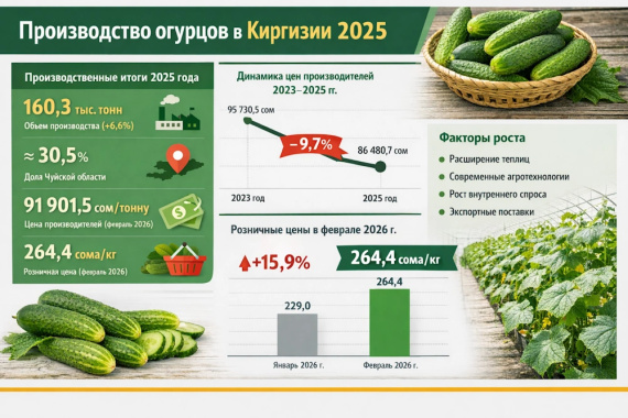 Производство огурцов в Киргизии 2025: рост выпуска и динамика цен