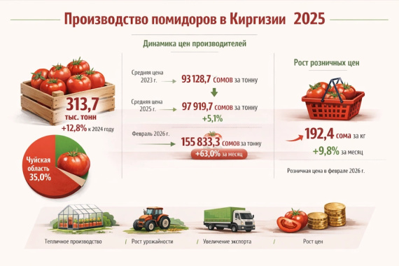 Производство помидоров в Киргизии 2025: рост урожая и динамика цен