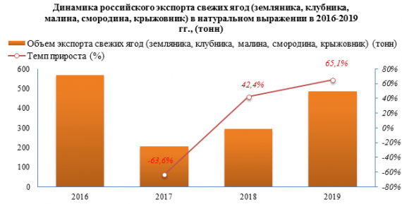 Объем экспорта свежих ягод в 2019 году вырос на 65,1%