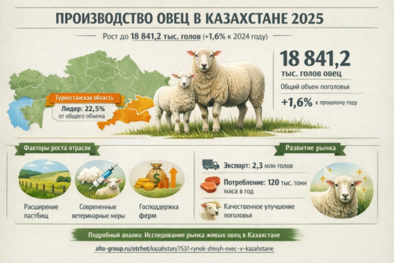 Производство живых овец в Казахстане 2025: объемы, регионы, тенденции