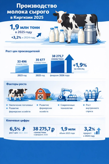 Производство молока сырого в Киргизии 2025: рост объемов и динамика цен производителей