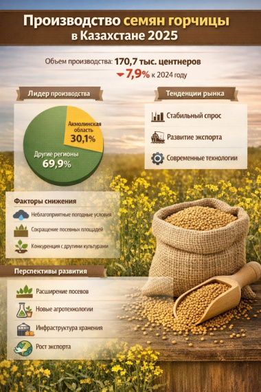 Производство семян горчицы в Казахстане 2025: объемы, структура и тенденции рынка