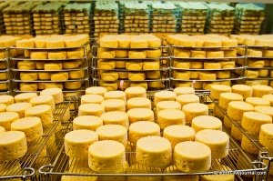 Объемы выпуска сыра растут, но качество заметно снижается
