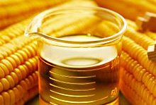 Рынок кукурузного масла в России стремительно наращивает объёмы экспорта