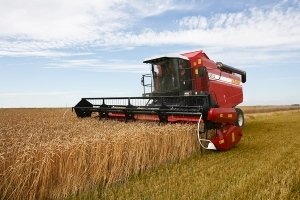 Доля отечественных комбайнов для уборки зерна в объеме рынка составила 68,2% по итогу 2018 года