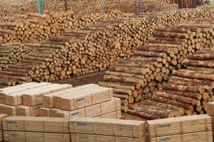 Объем производства лесоматериалов в Сибирском ФО увеличился на +5,8% в 2018 году