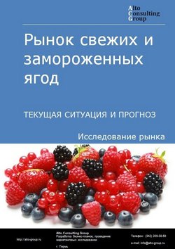 Рынок свежих и замороженных ягод в России. Текущая ситуация и прогноз 2023-2027 гг.