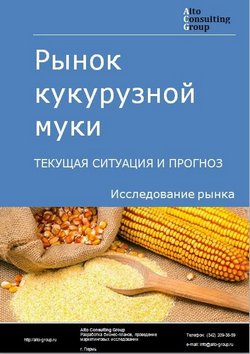 Рынок кукурузной муки в России. Текущая ситуация и прогноз 2021-2025 гг.