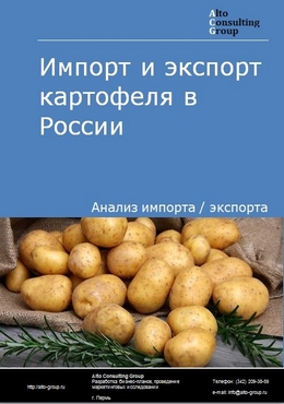 Импорт и экспорт картофеля в России в 2023 г.