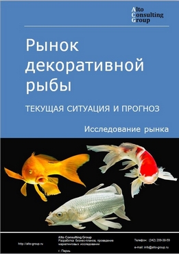 Рынок декоративной рыбы в России. Текущая ситуация и прогноз 2022-2026 гг.