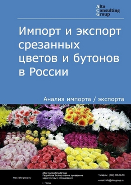 Импорт и экспорт срезанных цветов и бутонов в России в 2023 г.