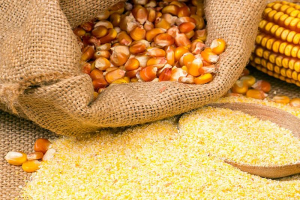 Объем импорта муки кукурузной с содержанием жира до 1,5 мас.% на российский рынок в 2019 году вырос до  157 тонн.