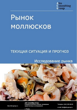 Рынок моллюсков в России. Текущая ситуация и прогноз 2022-2026 гг.