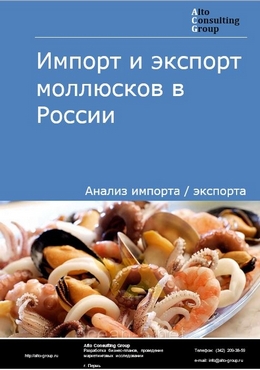 Импорт и экспорт моллюсков в России в 2023 г.