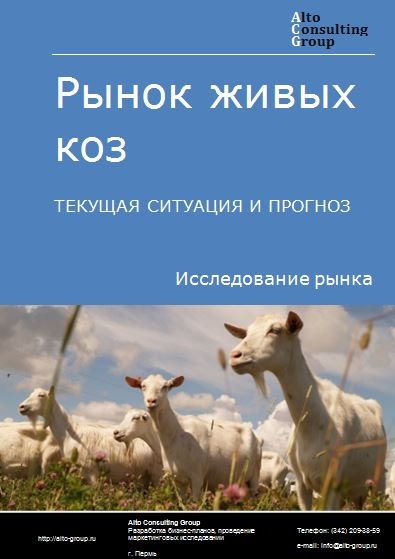 Рынок живых коз в России. Текущая ситуация и прогноз 2022-2026 гг.