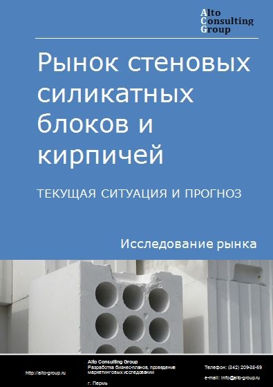 Рынок стеновых силикатных блоков и кирпичей в России. Текущая ситуация и прогноз 2021-2025 гг.