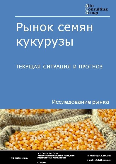 Рынок семян кукурузы в России. Текущая ситуация и прогноз 2023-2027 гг.