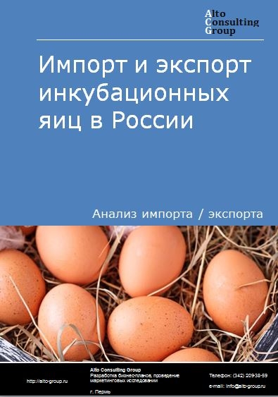 Импорт и экспорт инкубационных яиц в России в 2023 г.