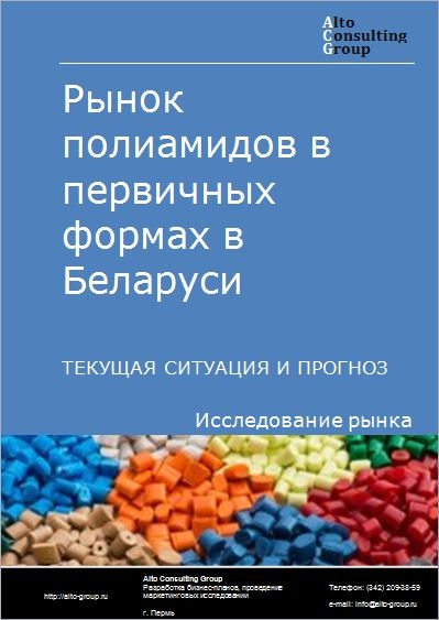 Рынок полиамидов в первичных формах в Беларуси. Текущая ситуация и прогноз 2023-2027 гг.