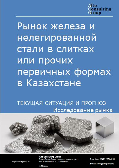 Рынок железа и нелегированной стали в слитках или прочих первичных формах в Казахстане. Текущая ситуация и прогноз 2021-2025 гг.