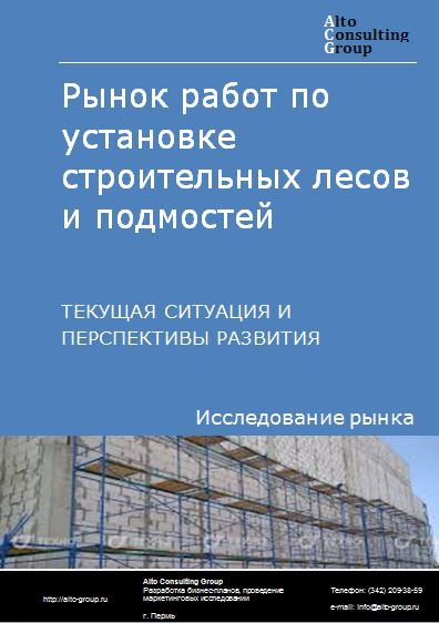 Рынок работ по установке строительных лесов и подмостей в России. Текущая ситуация и перспективы развития