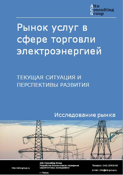 Рынок услуг в сфере торговли электроэнергией в России. Текущая ситуация и перспективы развития