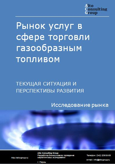 Рынок услуг в сфере торговли газообразным топливом в России. Текущая ситуация и перспективы развития