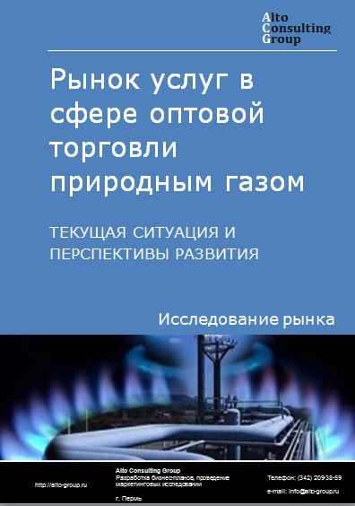Рынок услуг в сфере оптовой торговли природным  газом в России. Текущая ситуация и перспективы развития