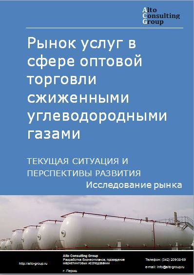 Рынок услуг в сфере оптовой торговли сжиженными углеводородными газами в России. Текущая ситуация и перспективы развития