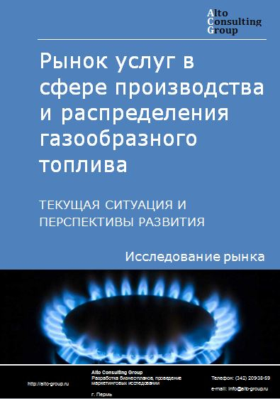 Рынок услуг в сфере производства и распределения газообразного топлива в России. Текущая ситуация и перспективы развития
