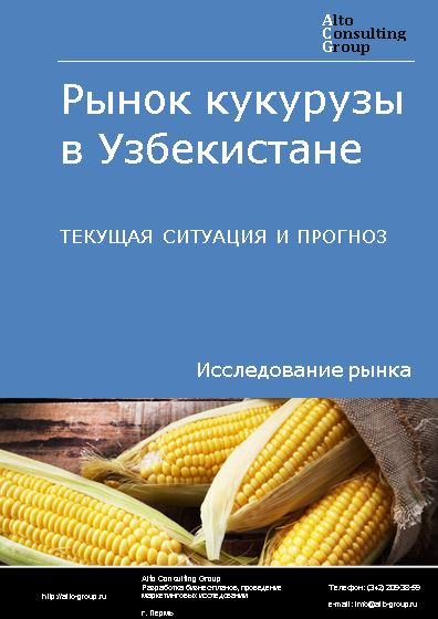 Рынок кукурузы в Узбекистане. Текущая ситуация и прогноз 2022-2026 гг.