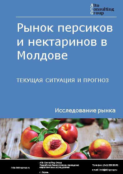 Рынок персиков и нектаринов в Молдове. Текущая ситуация и прогноз 2023-2027 гг.