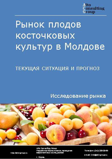 Рынок плодов косточковых культур (слива, вишня, черешня, абрикос, персик) в Молдове. Текущая ситуация и прогноз 2022-2026 гг.
