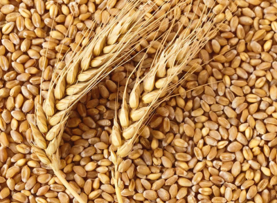 Объем международной торговли пшеницей и меслином вырос в 2021 году на 20,5%