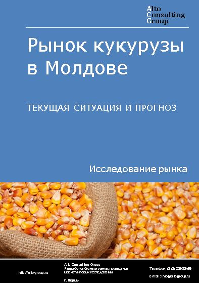 Рынок кукурузы в Молдове. Текущая ситуация и прогноз 2024-2028 гг.