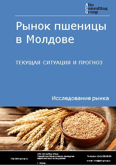Рынок пшеницы в Молдове. Текущая ситуация и прогноз 2022-2026 гг.