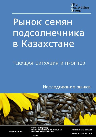 Рынок семян подсолнечника в Казахстане. Текущая ситуация и прогноз 2024-2028 гг.