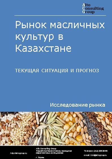 Рынок масличных культур в Казахстане. Текущая ситуация и прогноз 2024-2028 гг.