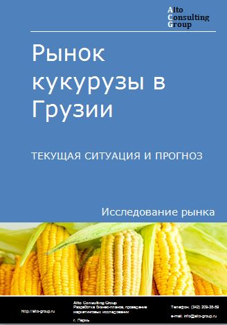 Рынок кукурузы в Грузии. Текущая ситуация и прогноз 2022-2026 гг.