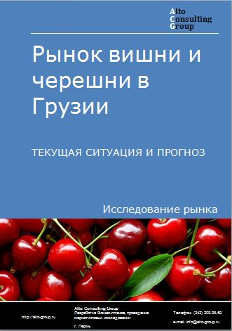 Рынок вишни и черешни в Грузии. Текущая ситуация и прогноз 2022-2026 гг.