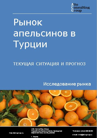 Рынок апельсинов в Турции. Текущая ситуация и прогноз 2023-2027 гг.