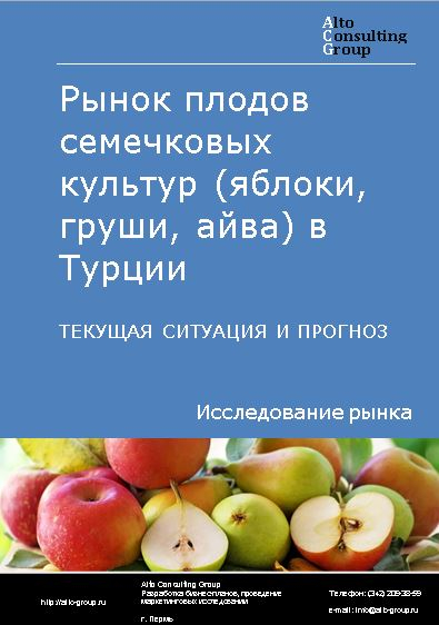 Рынок плодов семечковых культур (яблоки, груши, айва) в Турции. Текущая ситуация и прогноз 2023-2027 гг.