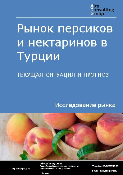 Рынок персиков и нектаринов в Турции. Текущая ситуация и прогноз 2024-2028 гг.
