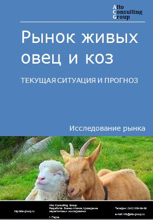 Рынок живых овец и коз в России. Текущая ситуация и прогноз 2024-2028 гг.