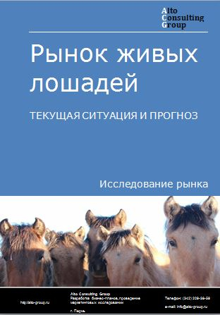 Рынок лошадей в России. Текущая ситуация и прогноз 2024-2028 гг.