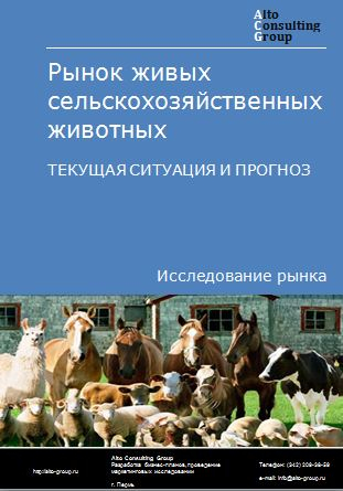 Рынок живых сельскохозяйственных животных в России. Текущая ситуация и прогноз 2024-2028 гг.